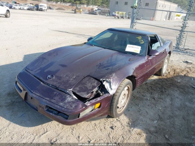 1992 CHEVROLET CORVETTE 1G1YY23P9N5115618 Photo 1