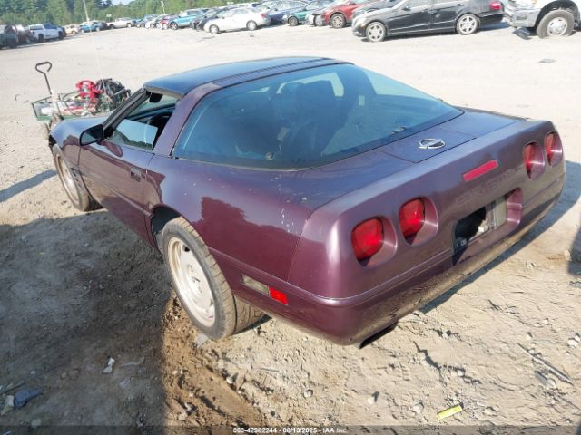 1992 CHEVROLET CORVETTE 1G1YY23P9N5115618 Photo 2