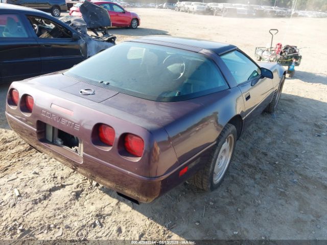 1992 CHEVROLET CORVETTE 1G1YY23P9N5115618 Photo 3