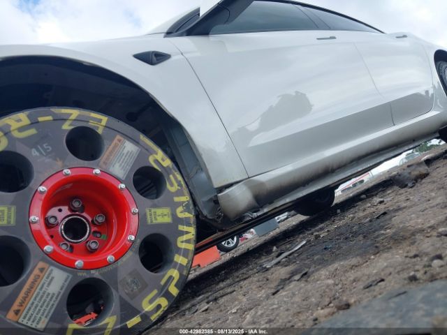 2025 TESLA MODEL 3 5YJ3E1EA9SF938458 Photo 5