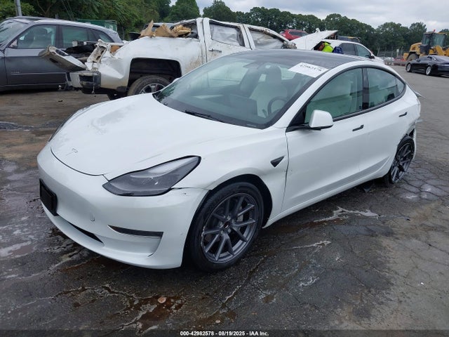 2023 TESLA MODEL 3 5YJ3E1EA4PF383684 Photo 1