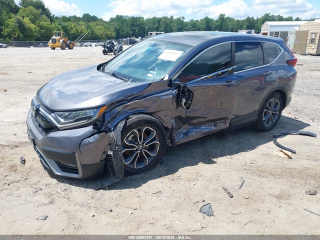 Honda lfb2 2022 5J6RT6H80NL008515 Image 2