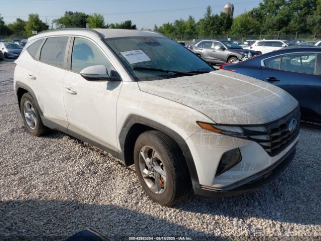 2023 HYUNDAI TUCSON 5NMJBCAE2PH238470