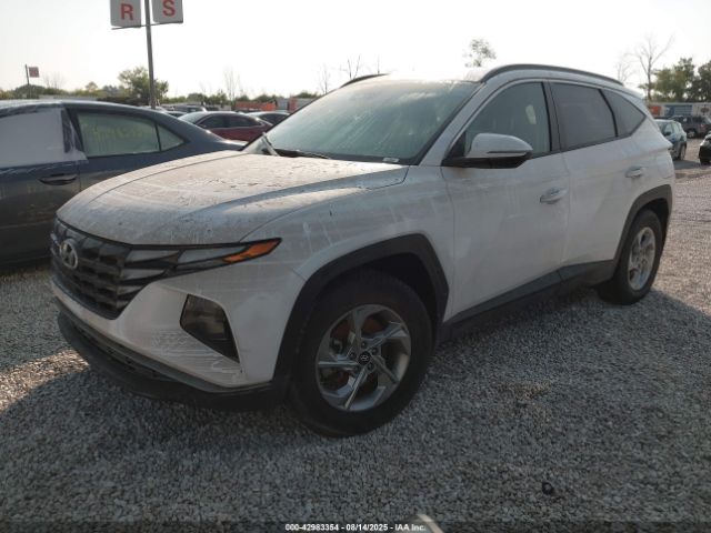 2023 HYUNDAI TUCSON 5NMJBCAE2PH238470 Photo 1