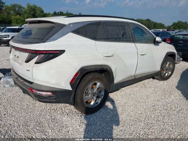 2023 HYUNDAI TUCSON 5NMJBCAE2PH238470 Photo 3