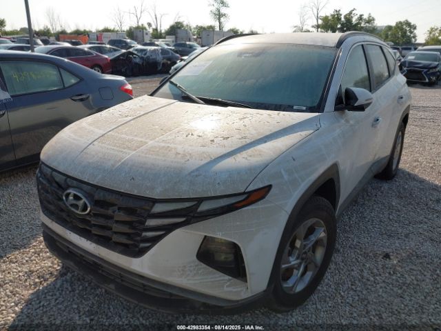 2023 HYUNDAI TUCSON 5NMJBCAE2PH238470 Photo 5