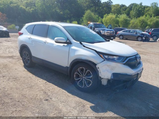 2021 HONDA CR-V 7FARW2H81ME028901