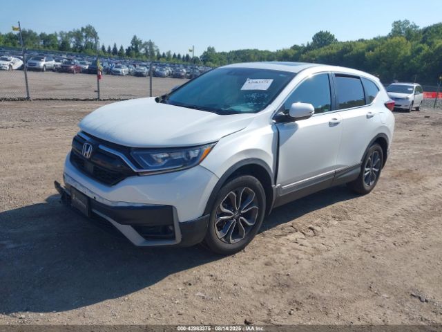 2021 HONDA CR-V 7FARW2H81ME028901 Photo 1