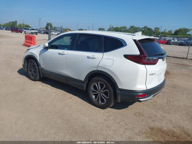 2021 HONDA CR-V 7FARW2H81ME028901 Photo 2