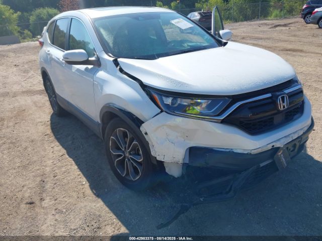 2021 HONDA CR-V 7FARW2H81ME028901 Photo 5