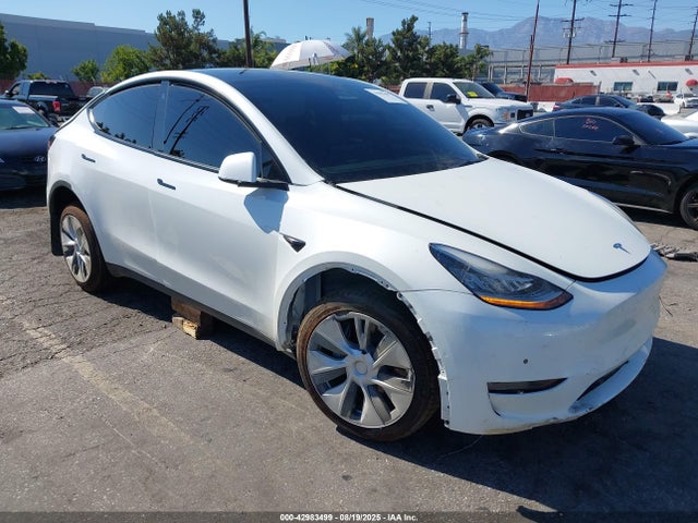 2021 TESLA MODEL Y 5YJYGDEE0MF303779 Photo 0