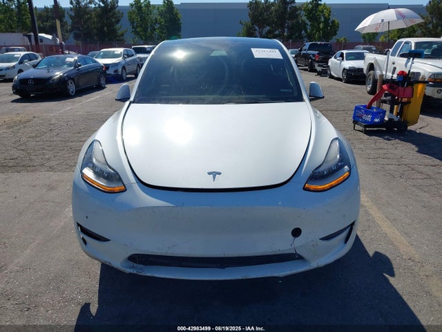 5YJYGDEE0MF303779 Tesla Model Y