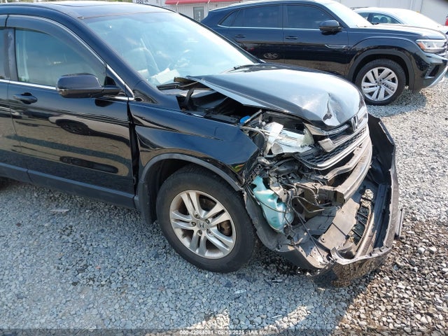 Auction sale of the 2010 Honda Cr-v Ex-l, vin: 5J6RE4H75AL050338, lot number: 42984081