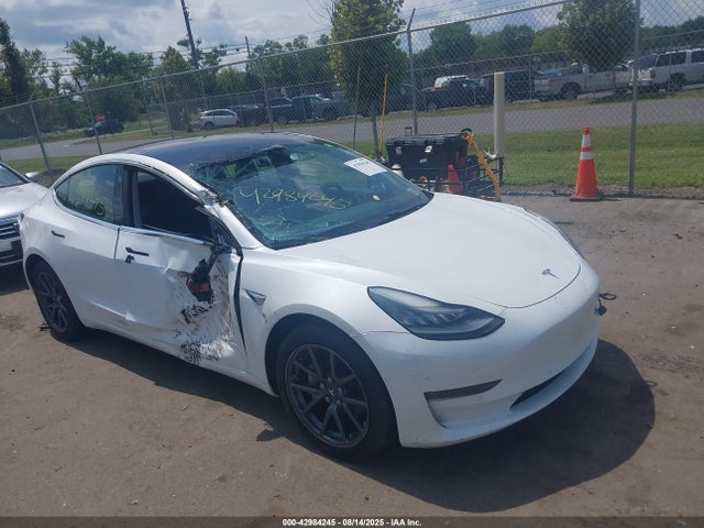2019 TESLA MODEL 3 5YJ3E1EB9KF493390 Photo 0