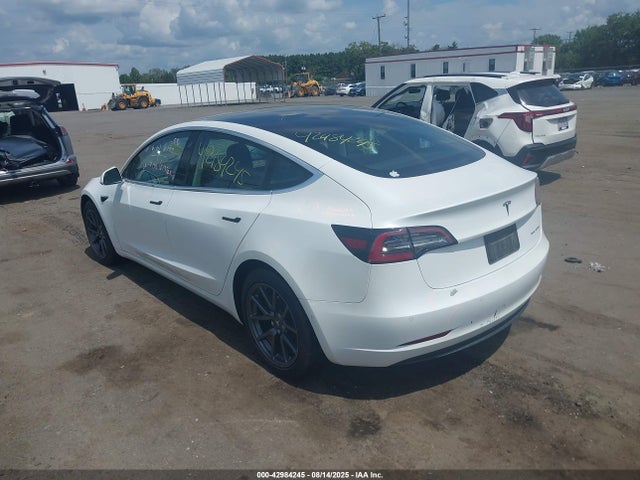 2019 TESLA MODEL 3 5YJ3E1EB9KF493390 Photo 2
