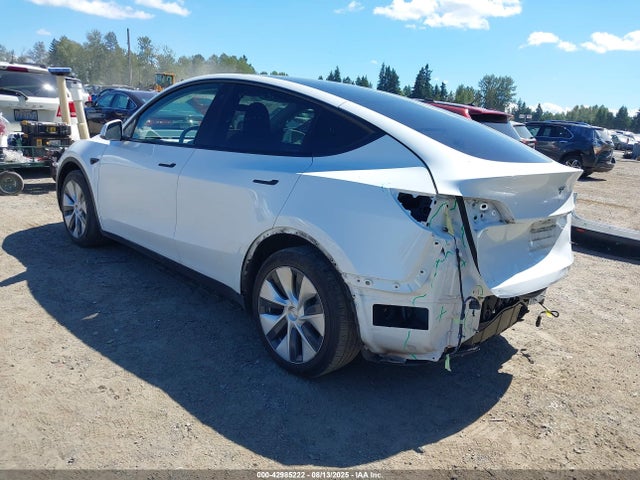 Tesla Model Y 2023 7SAYGAEE1PF700262 Image 3