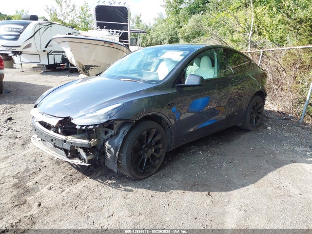 2023 TESLA MODEL Y 7SAYGDEE5PF784586 Photo 1