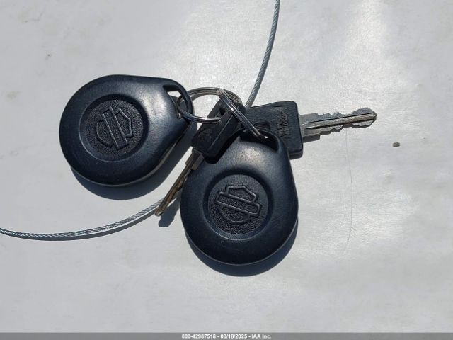 2013 HARLEY-DAVIDSON XL883 1HD4LE219DC429555 Photo 10