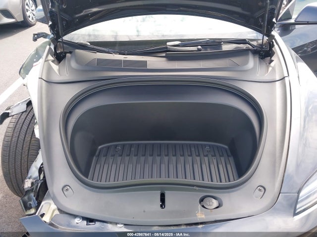 2025 TESLA MODEL 3 5YJ3E1EA9SF024646 Photo 9