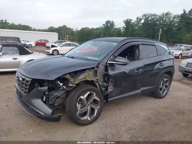 Hyundai gdi theta iii 2023 5NMJECAE0PH243786 Image 6