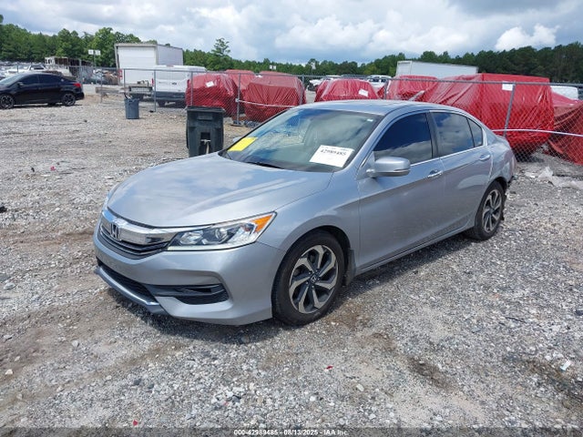 1HGCR2F81GA104157 Honda k24w1