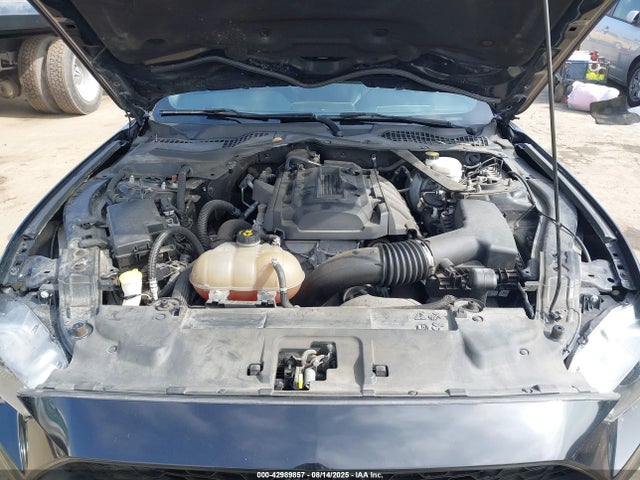1FATP8UH9K5171901 Ford 4v