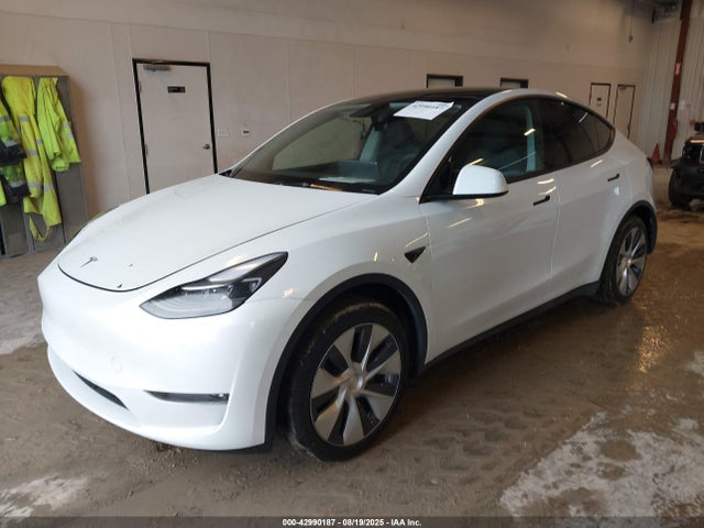 Tesla Model Y 2023 7SAYGDEE4PF702234 Image 2
