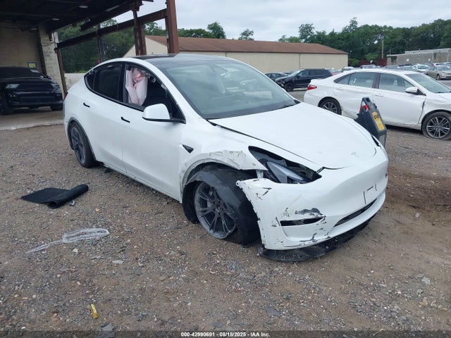 2025 TESLA MODEL Y 7SAYGAEE4SF295362 Photo 0