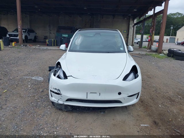 Tesla 2025 2025 7SAYGAEE4SF295362 Image 12