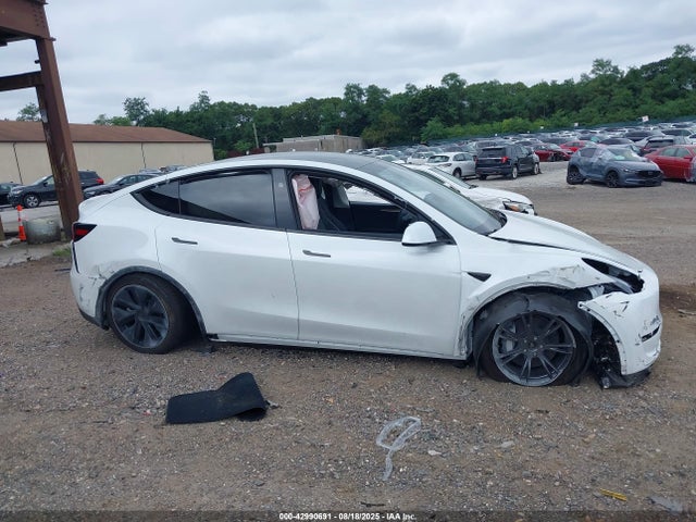 Tesla 2025 2025 7SAYGAEE4SF295362 Image 13