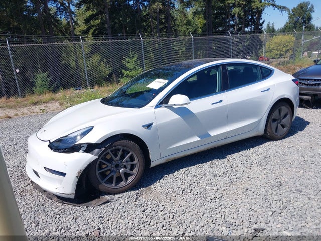 Tesla MODEL 3 2019 5YJ3E1EA0KF310031 Image 2