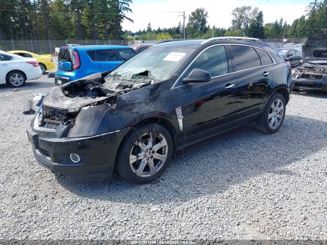 2010 CADILLAC SRX 3GYFNEEY2AS557262 Photo 1