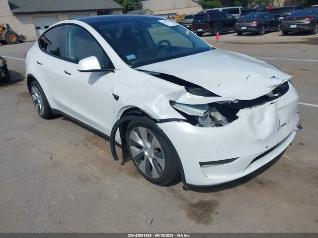 2021 TESLA MODEL Y 5YJYGDEE2MF073243 Photo 0