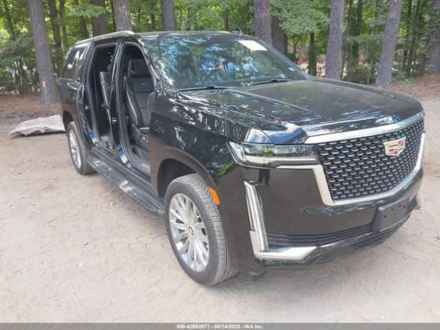 2024 CADILLAC ESCALADE ESV 1GYS3KKL2RR250457