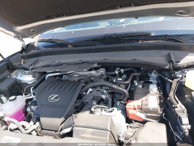 Lexus t24a-fts 2024 5TDAAAB66RS016822 Image 10