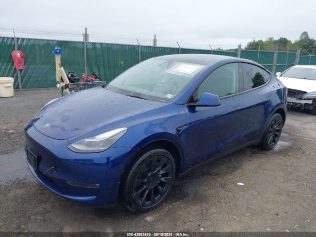 2024 TESLA MODEL Y 7SAYGAEE3RF117775 Photo 1