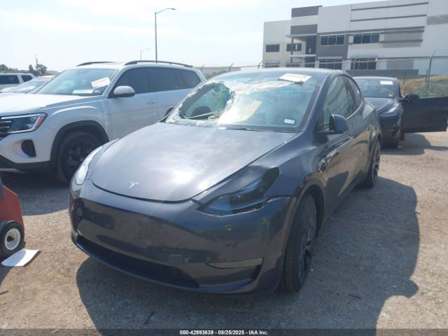 2025 TESLA MODEL Y 7SAYGDEF1SA344914 Photo 1