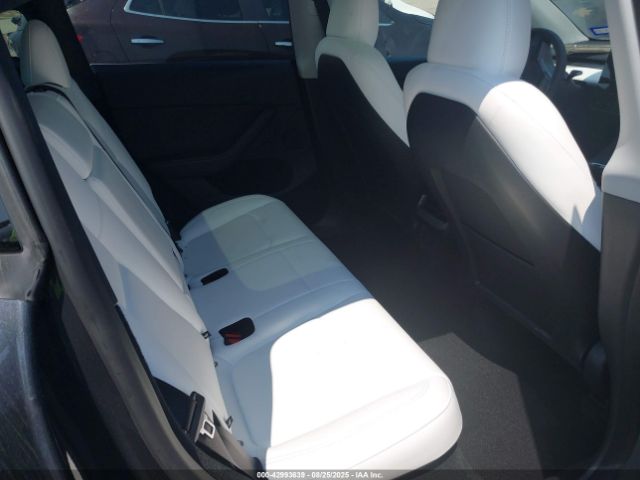 2025 TESLA MODEL Y 7SAYGDEF1SA344914 Photo 7