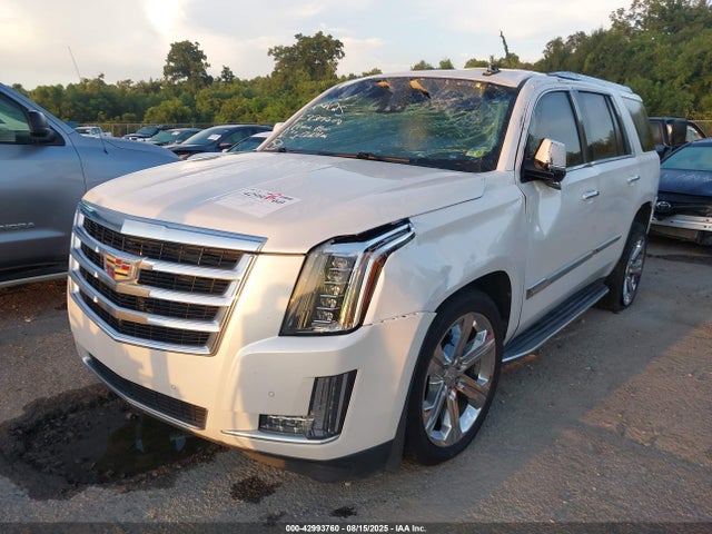2016 CADILLAC ESCALADE 1GYS3BKJXGR337602 Photo 1