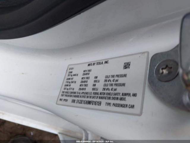 2021 TESLA MODEL 3 5YJ3E1EA9MF016159 Photo 8