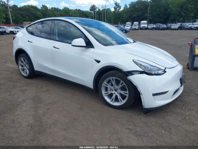 2023 TESLA MODEL Y 7SAYGDEE2PA095943 Photo 0