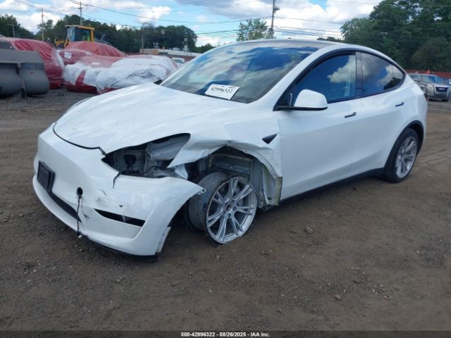 2023 TESLA MODEL Y 7SAYGDEE2PA095943 Photo 1