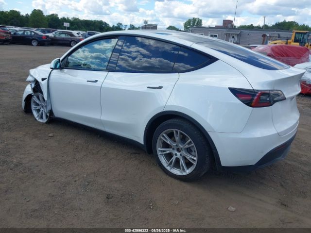 2023 TESLA MODEL Y 7SAYGDEE2PA095943 Photo 2
