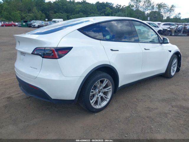 2023 TESLA MODEL Y 7SAYGDEE2PA095943 Photo 3