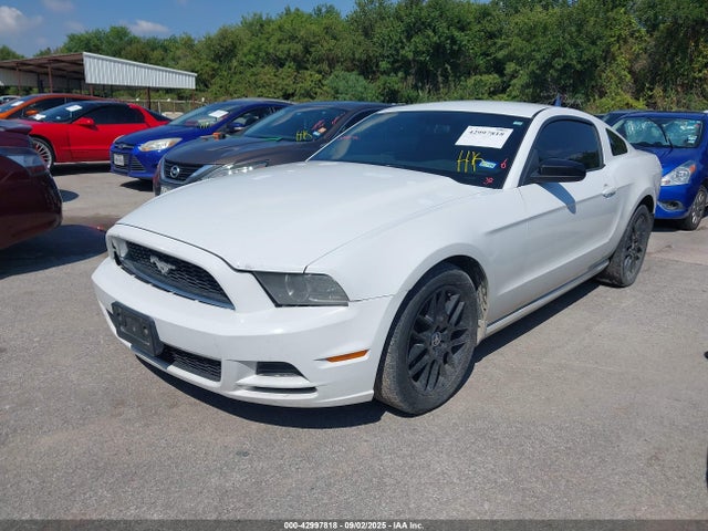 1ZVBP8AM9E5334524 Ford Mustang