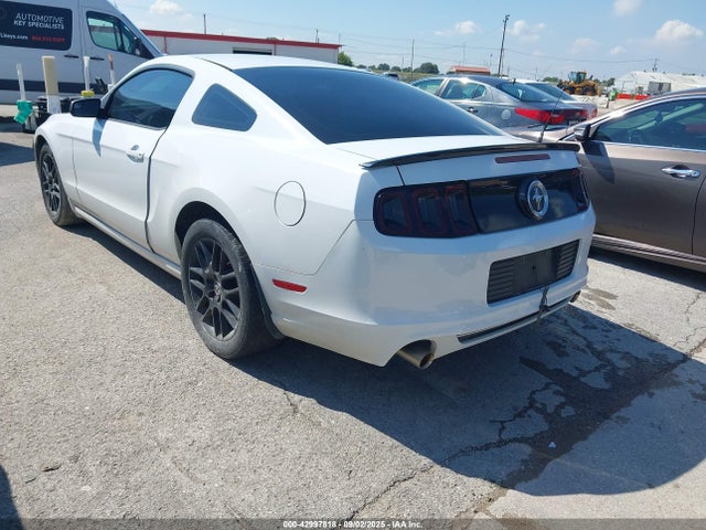 1ZVBP8AM9E5334524 Ford Mustang