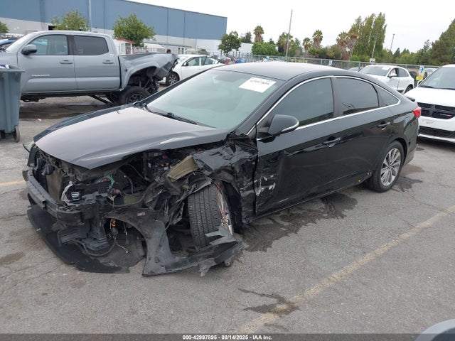 5NPE34AF2HH570264 Hyundai Sonata