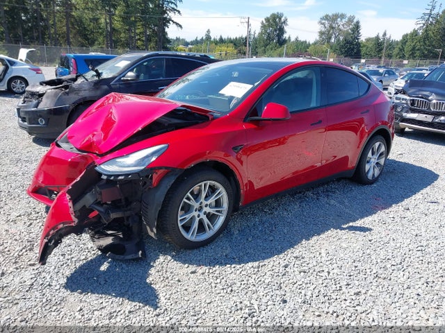 5YJYGDEE1MF196290 Tesla Model Y