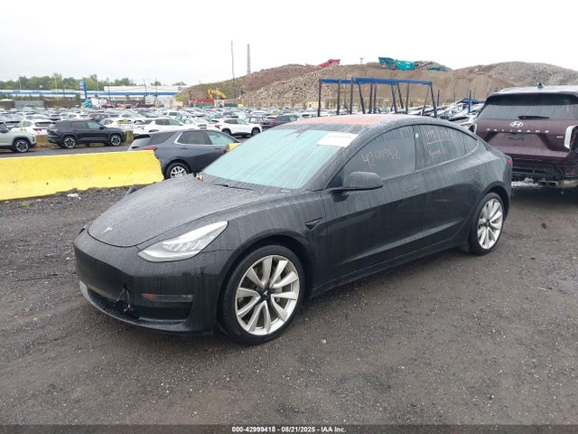 Tesla MODEL 3 2019 5YJ3E1EA1KF300494 Image 2