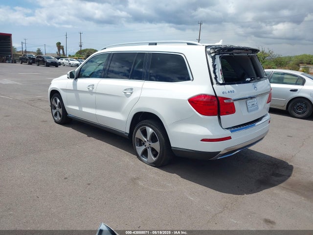 Mercedes-Benz Gl-Class 2014 4JGDF7CE1EA317069 Image 3